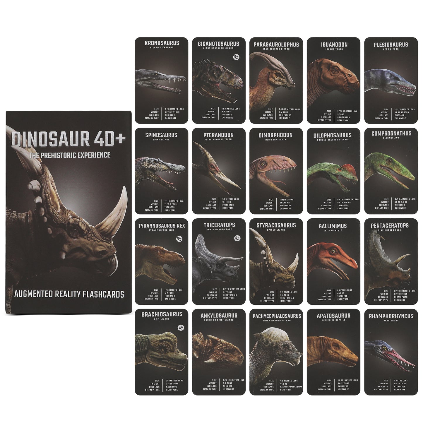 Dinosaurier 4D+