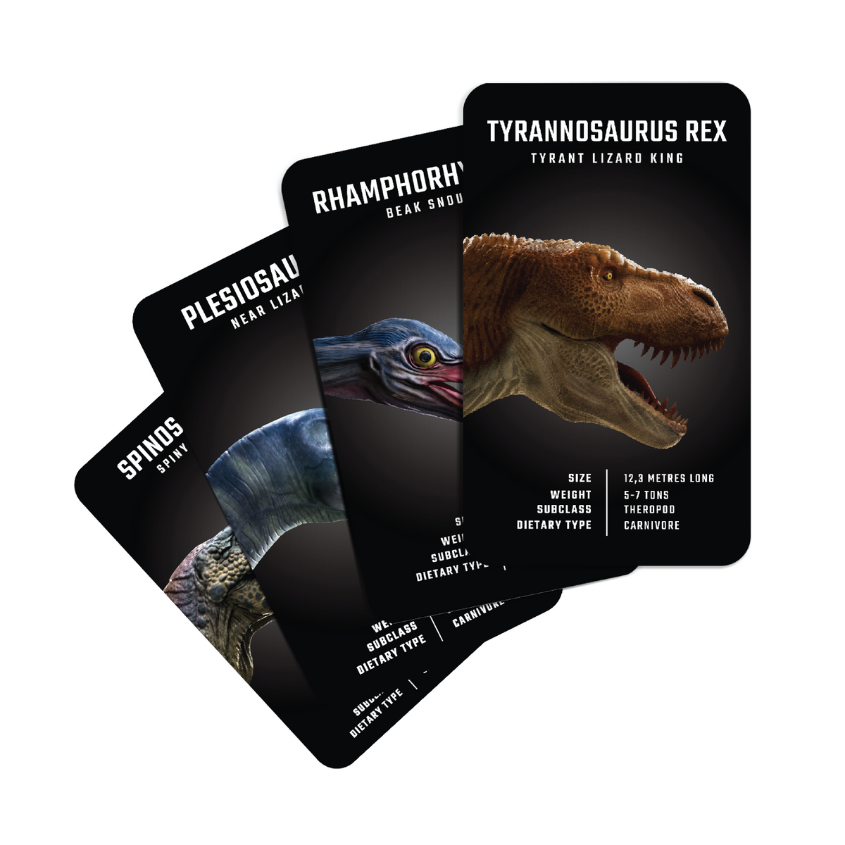 Dinosaur 4D+ Augmented Reality Flashcards for Kids | Octagon Studio Dinosaur 4D+ Augmented Reality Flashcards for Kids | Octagon Studio