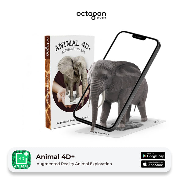 Animal 4D+ augmented reality alphabet cards